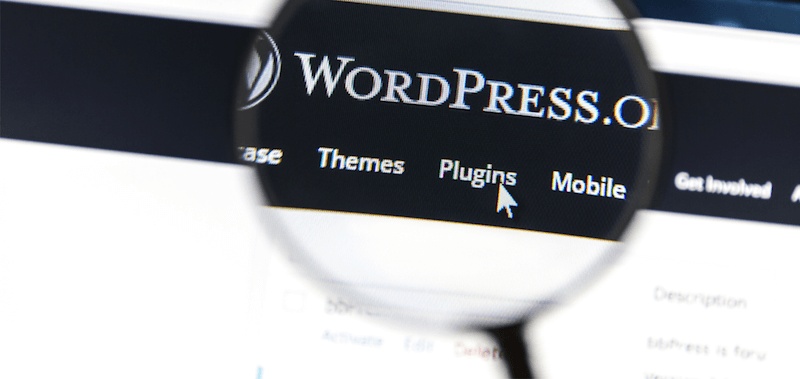wordpress pluginy